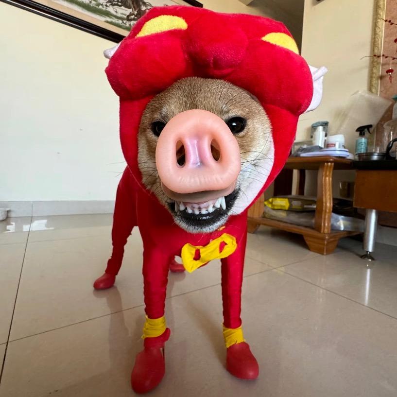 帅的没边