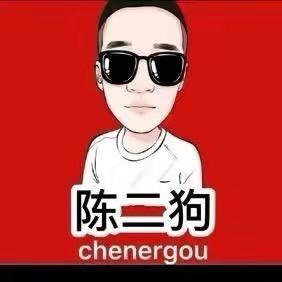 陈二狗孚厘文化传媒