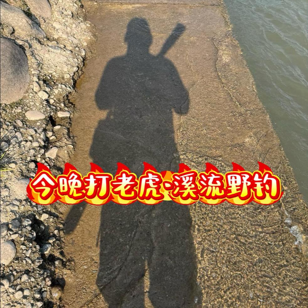 今晚打老虎 • 溪流野钓