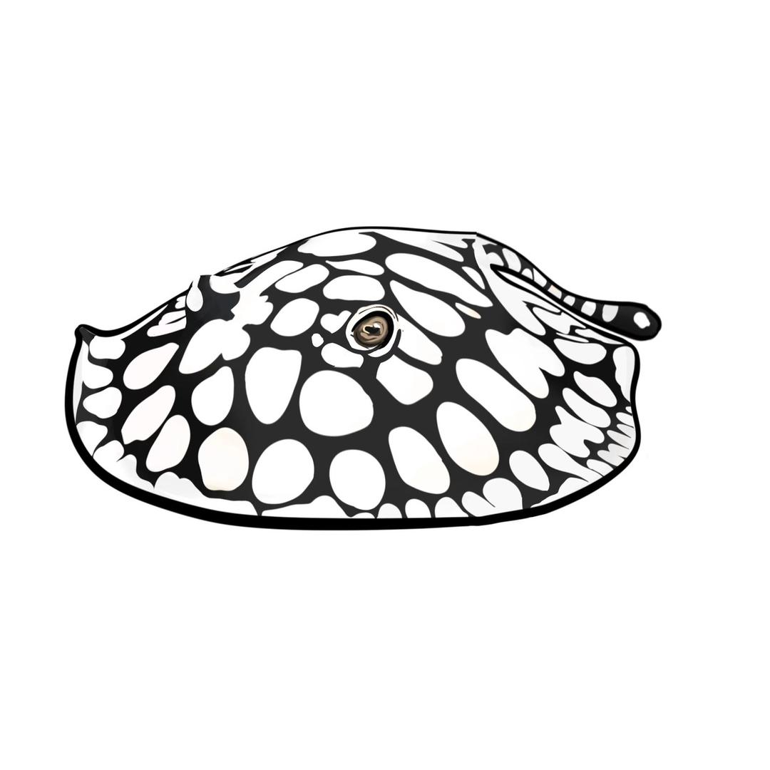 （养鱼涛哥）水族工作室