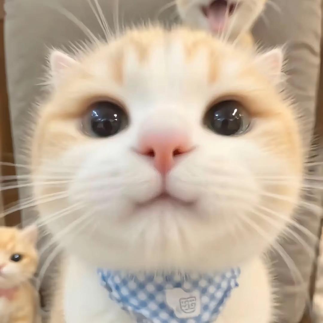 *5