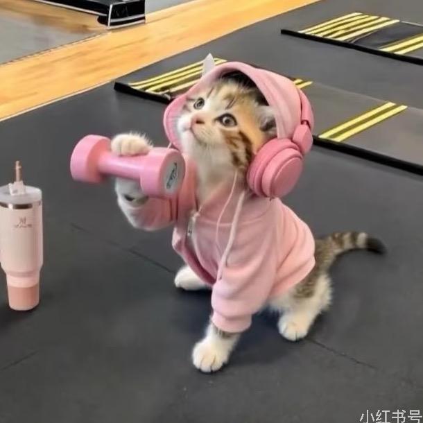 彭彭彭