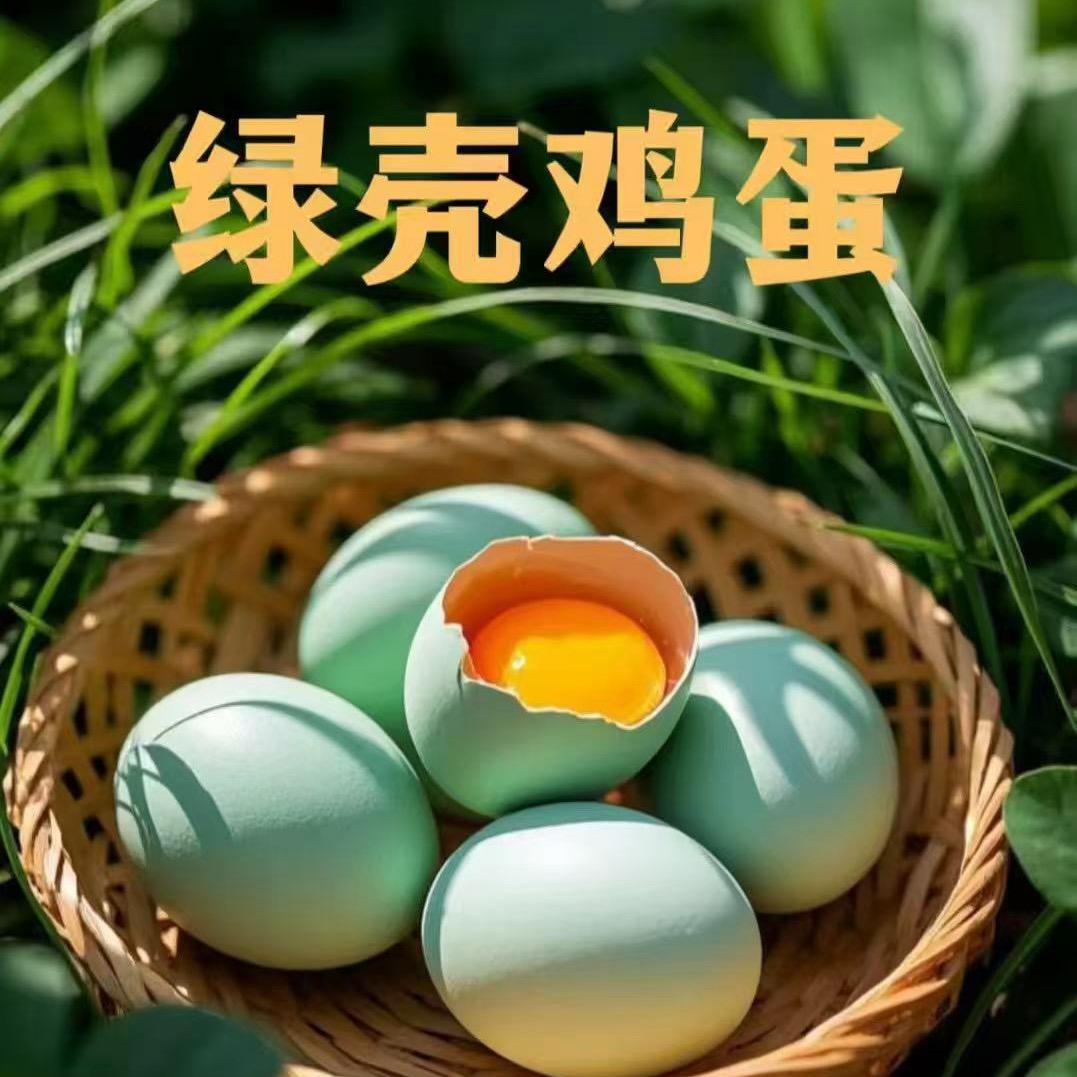 怡天园生态农业橙橙
