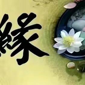 心缘一朵莲🙏