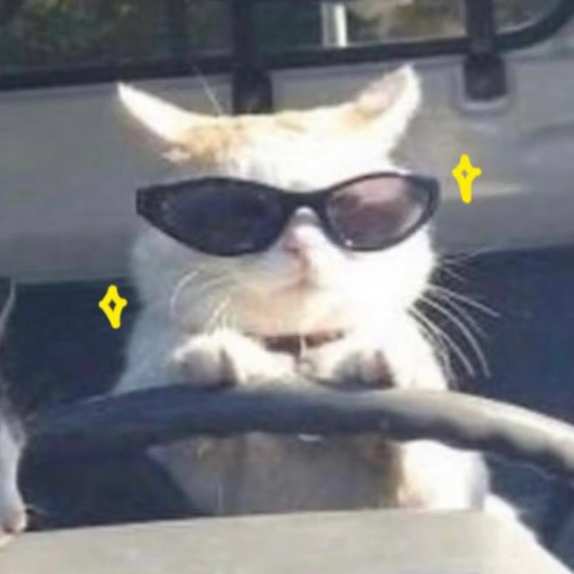 小芝麻(小个子🍐穿搭)