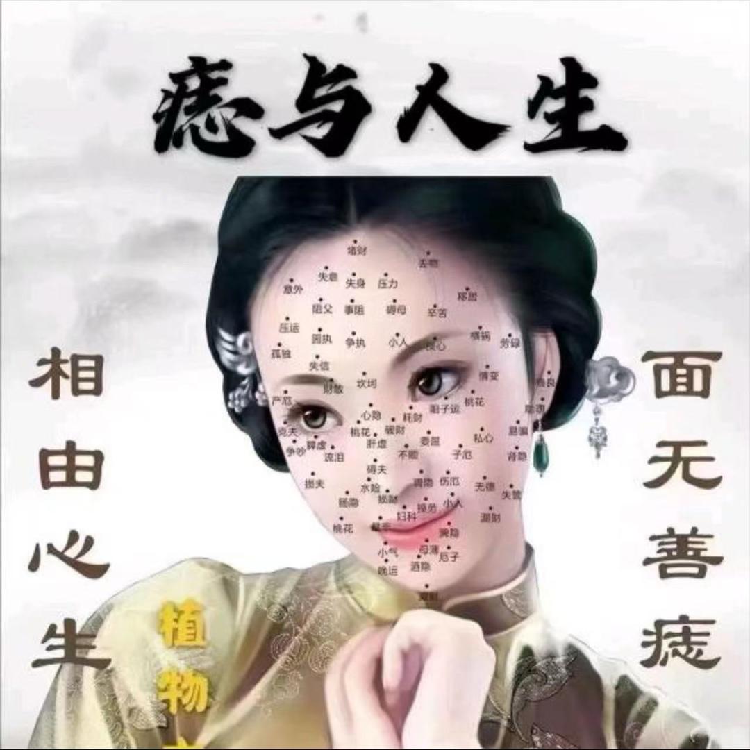 志工厂🏭陈老师收徒弟