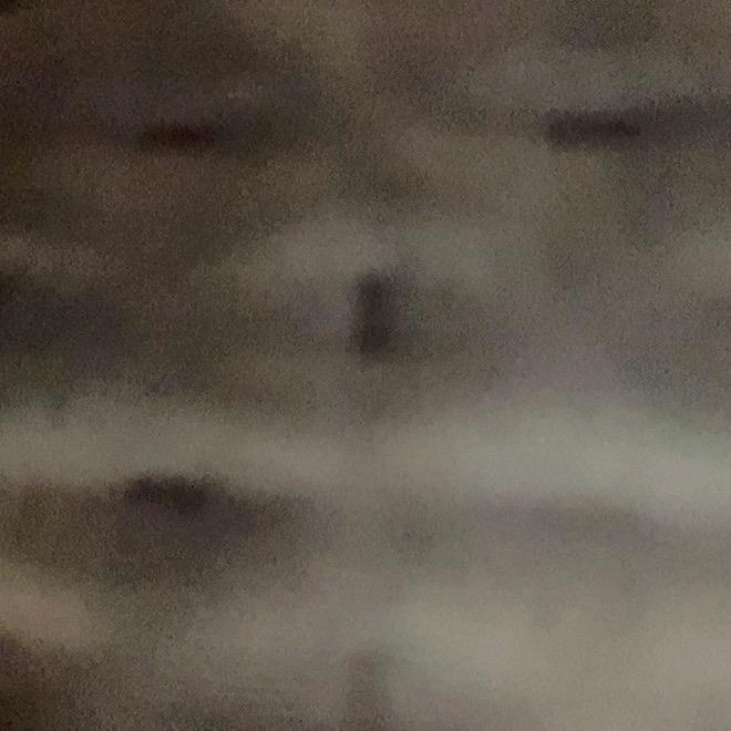 好好看啊