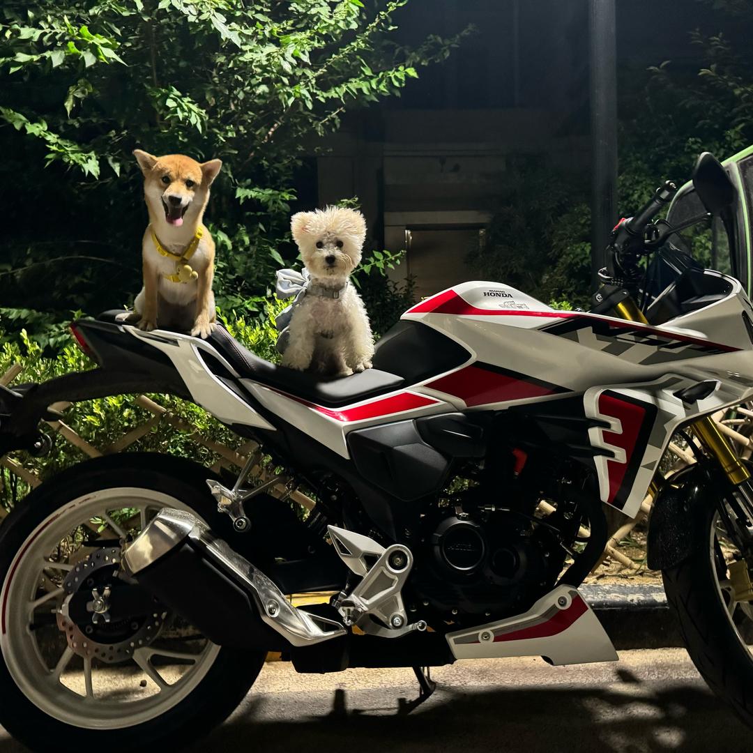 白总的座驾🐶