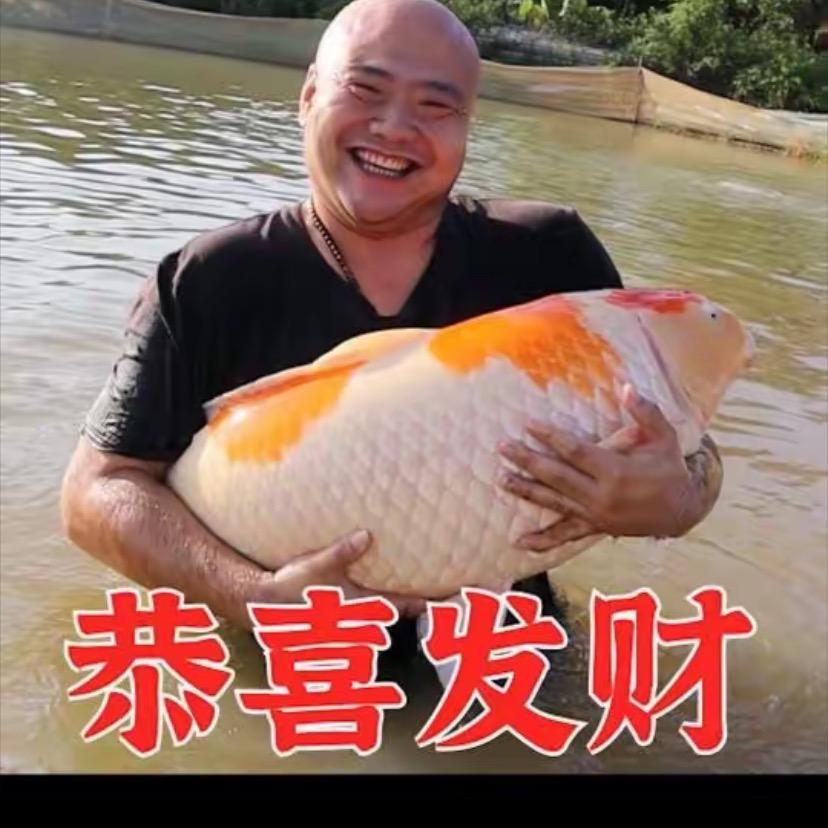 豪放潇潇洒