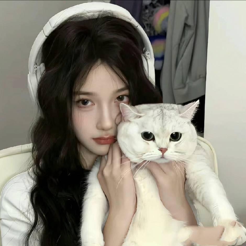 笨蛋小猫