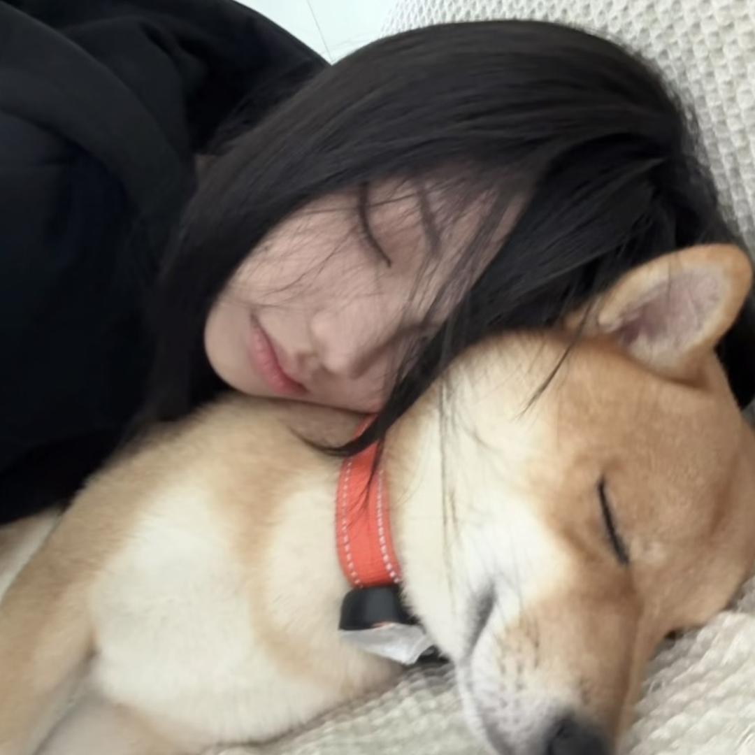 又见美