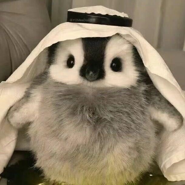 心动💘(暗区突围)