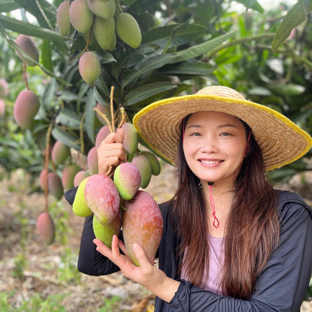 曹家妹子