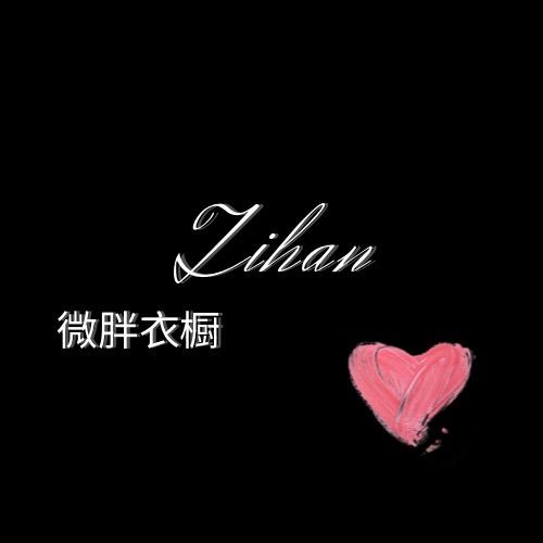 紫含专做全码女装