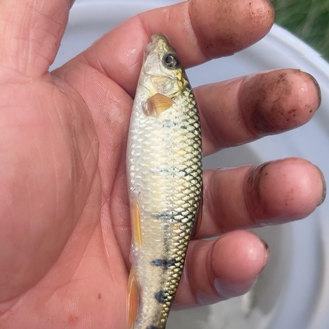 人生如戏“全靠演技”