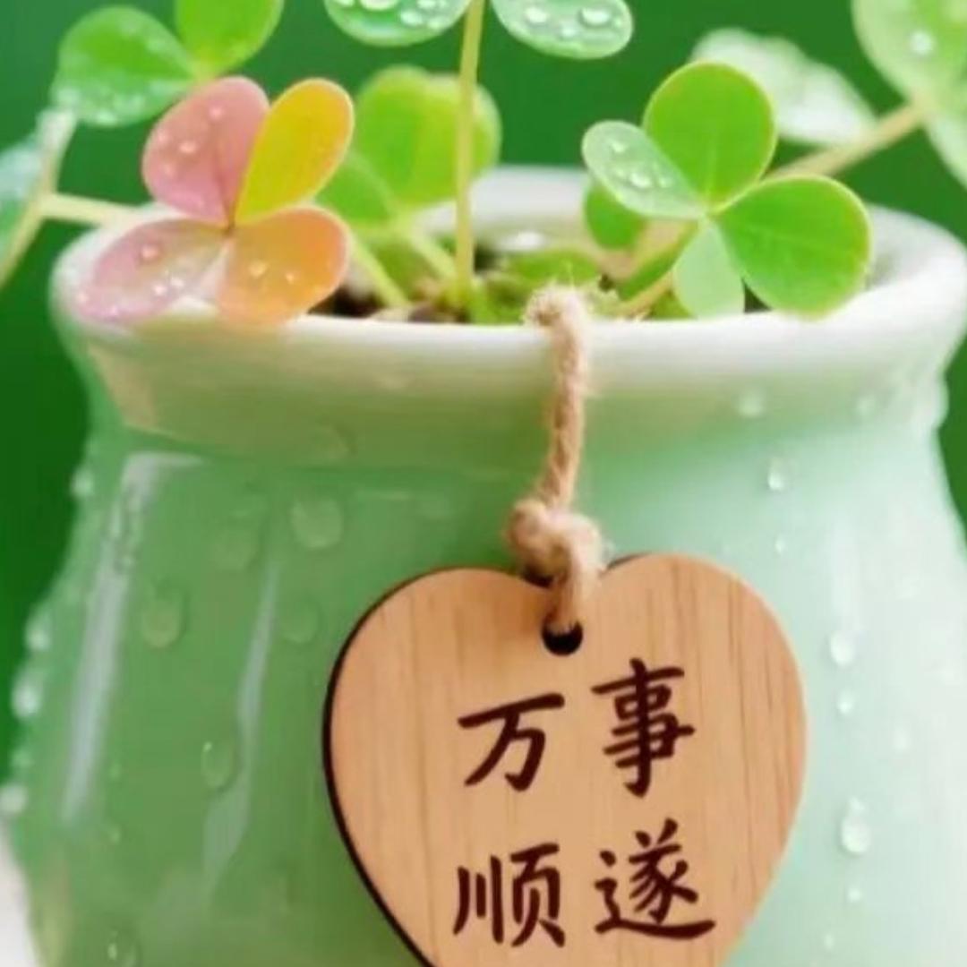 糖豆