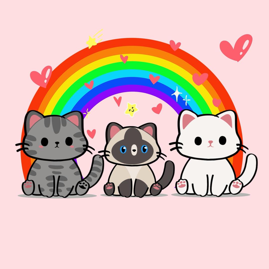 🐱十五不是五