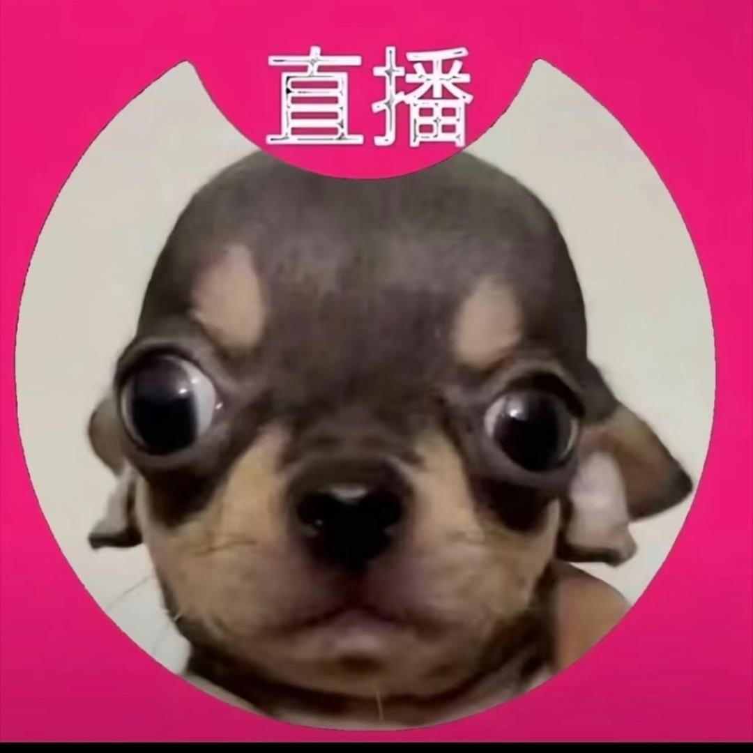 小晨儿