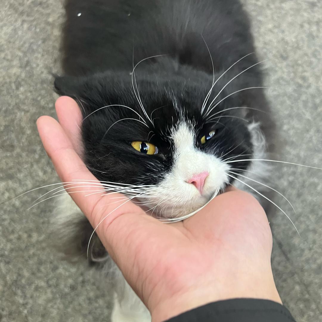 雅飞尔传媒-九九