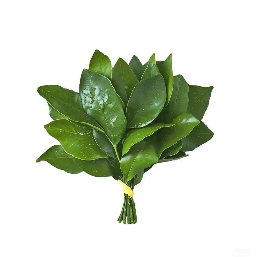 小鱼糯糯𓆜𓆜