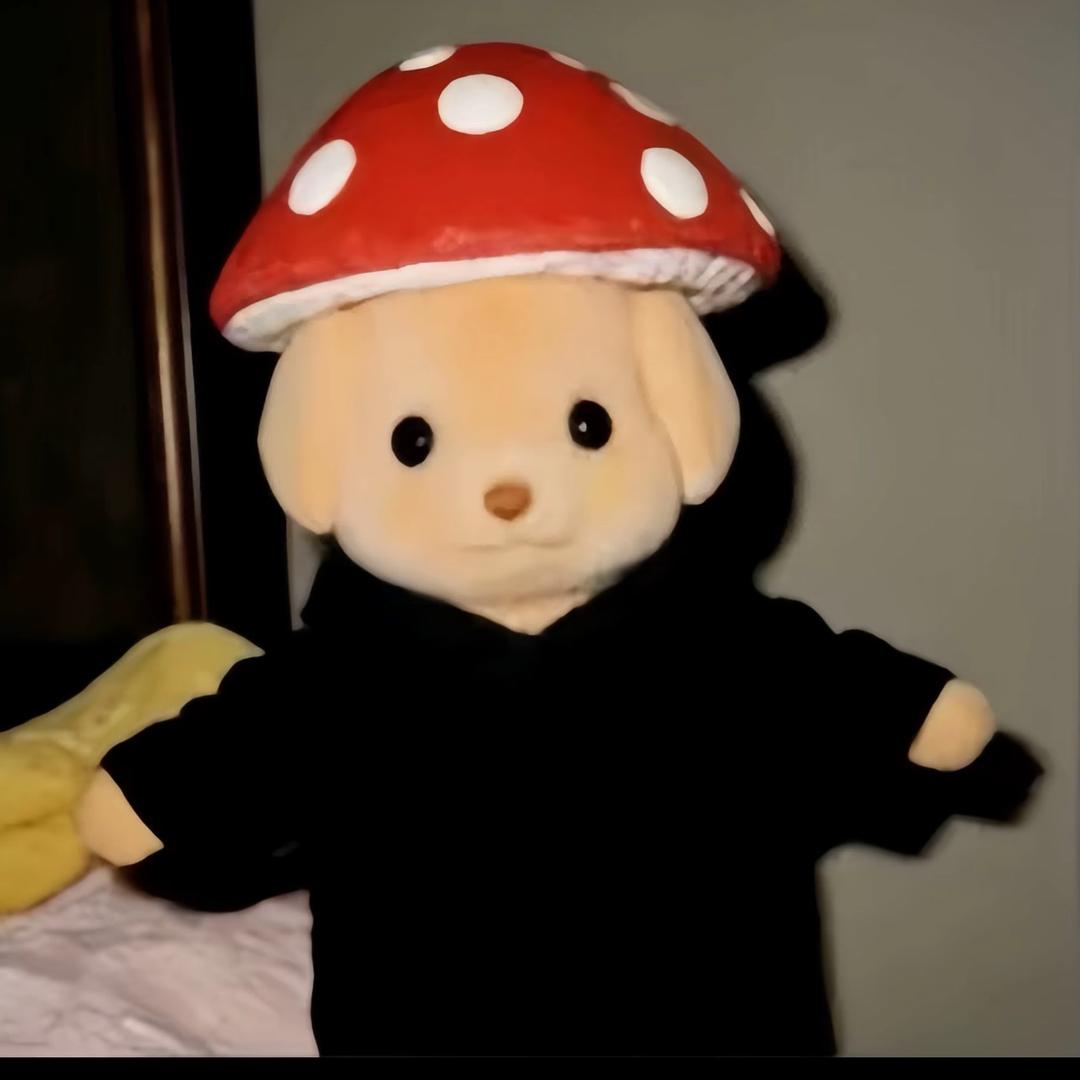 小淇