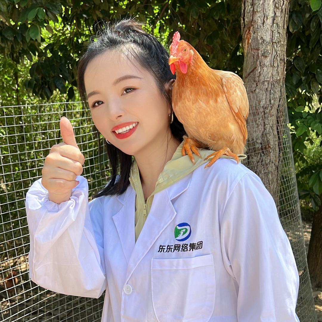 养鸡技术服务—张静