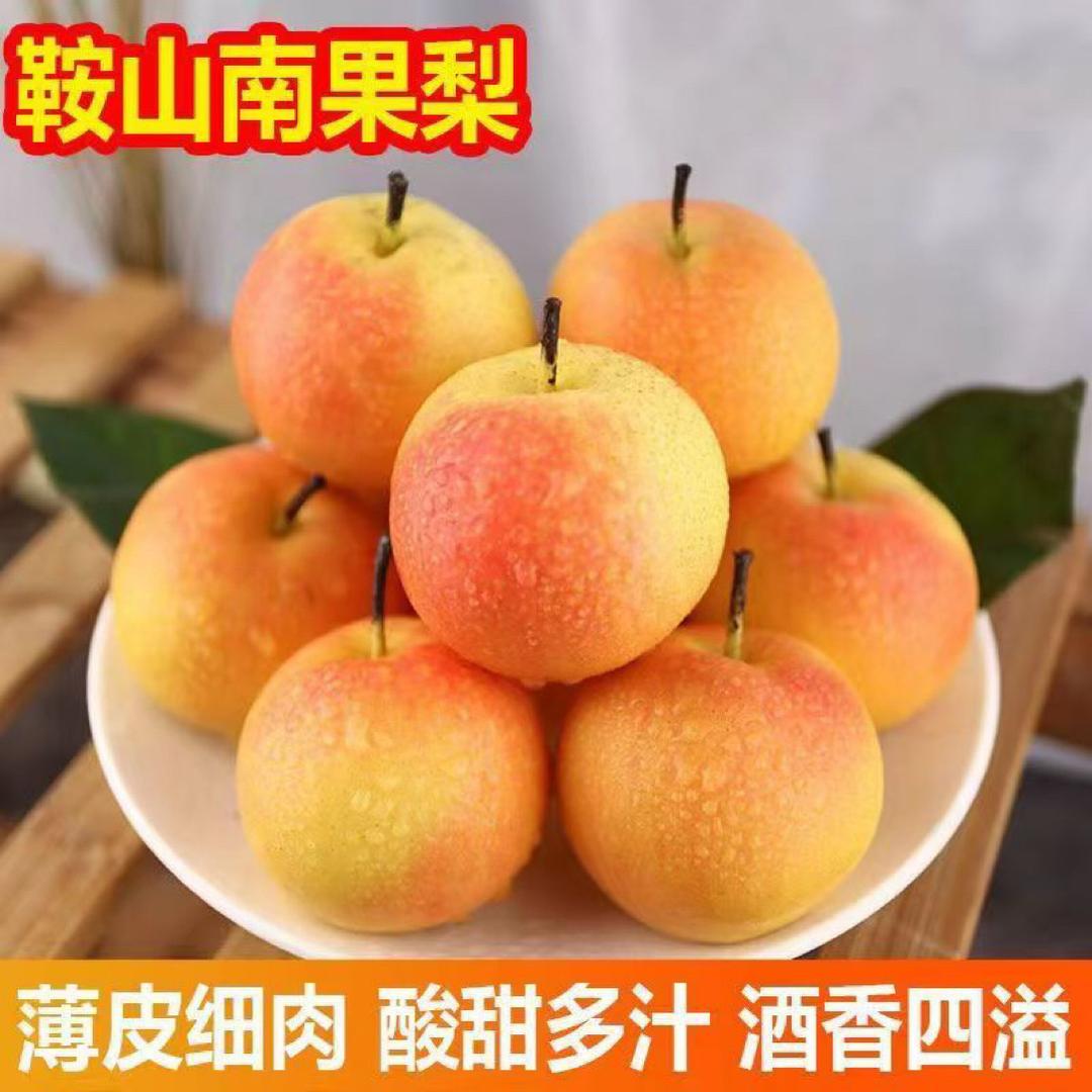小吴精选南果梨