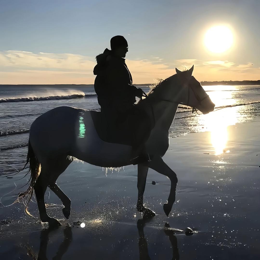 听风与我讲过往.