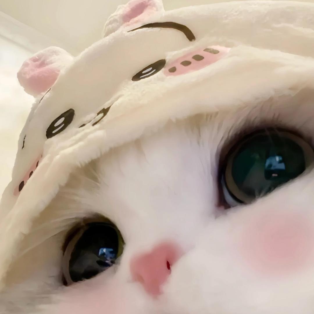妙脆脆脆鲨๑