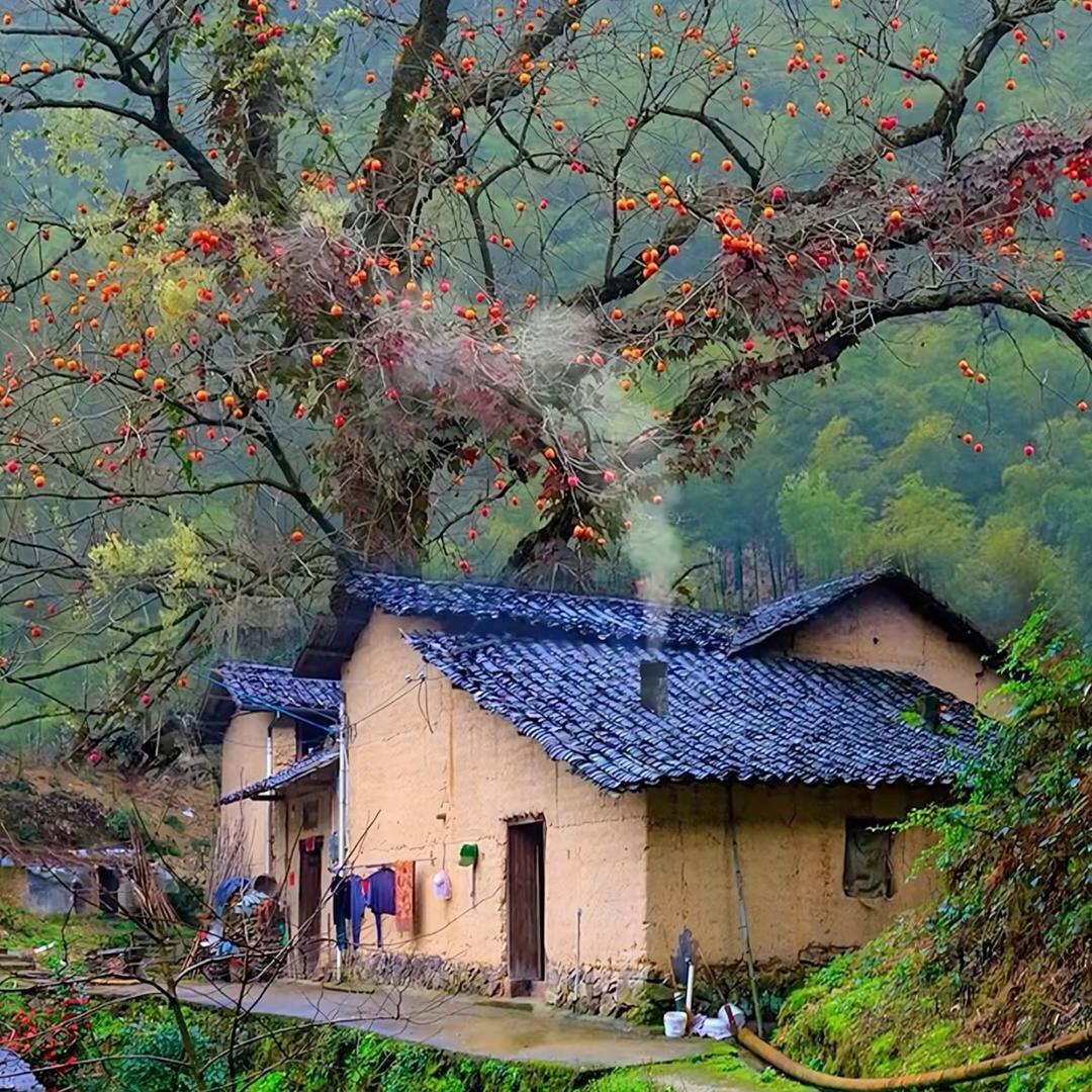 小普的土特产土货