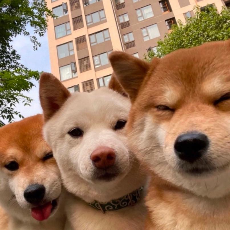 没想好将就用着