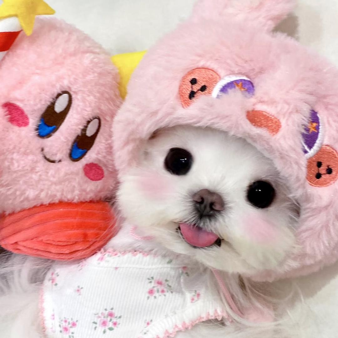 Happpy.⁰̷̴͈ᴥ⁰̷̴͈