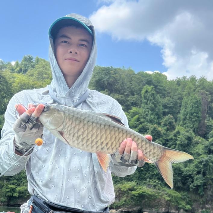 小66
