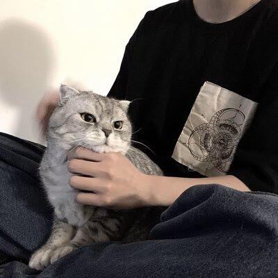 卡夫卡的熊