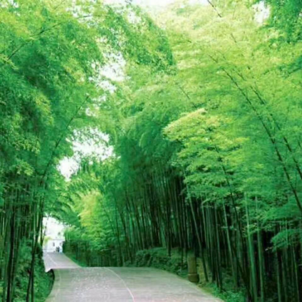 心路🕊ᴳᵉᶻⁱ