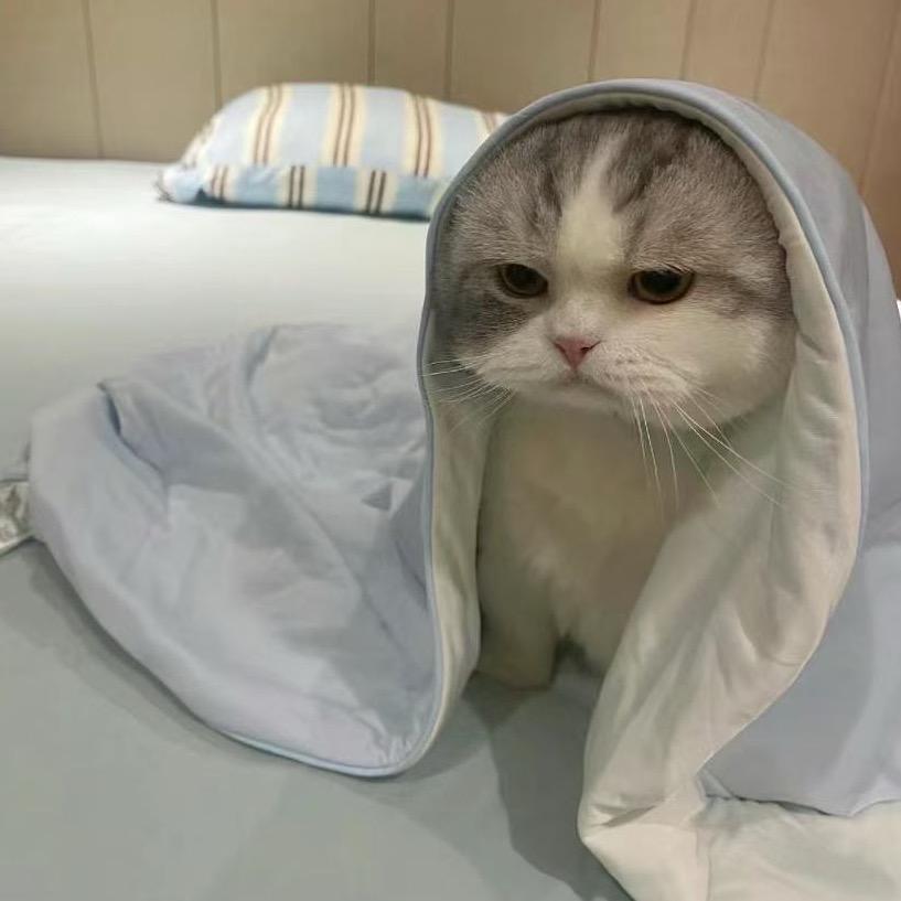 比巴拉潮玩