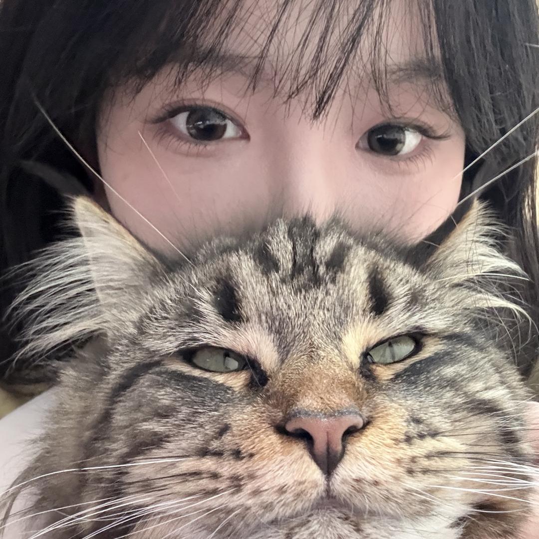 睡个好觉Zzz