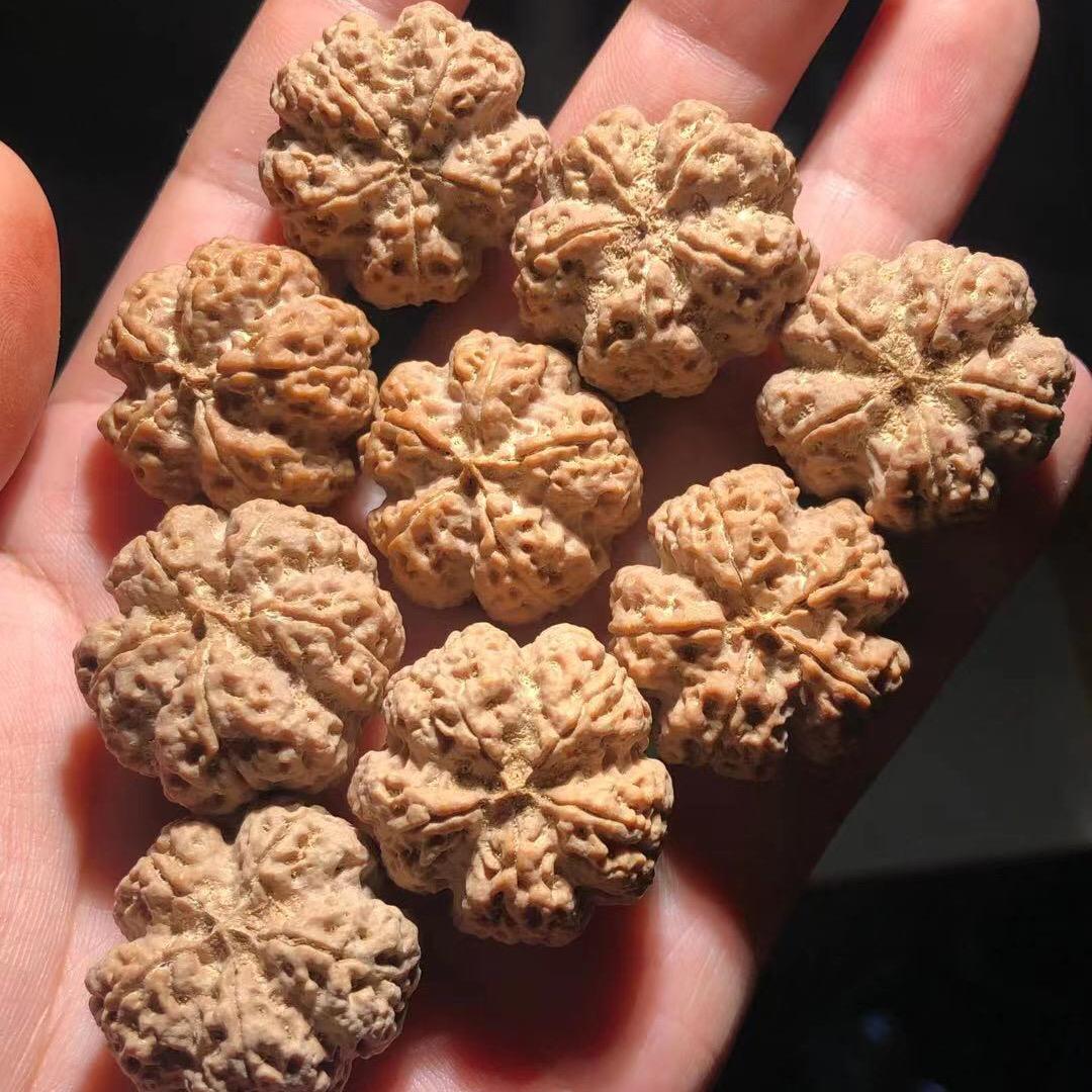 华明金刚菩提文玩工厂