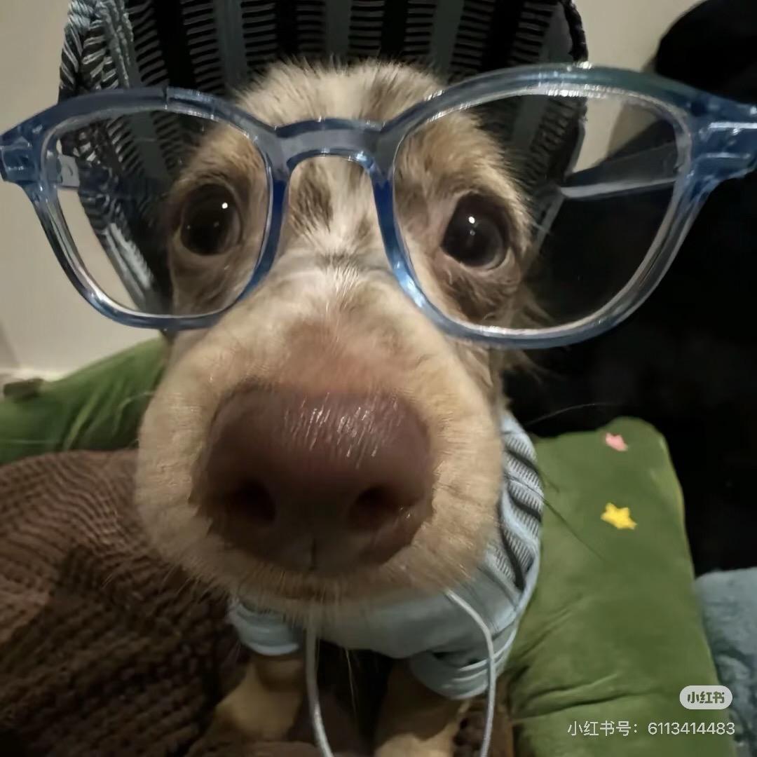 ཀTashi-Rgrm 10🧉