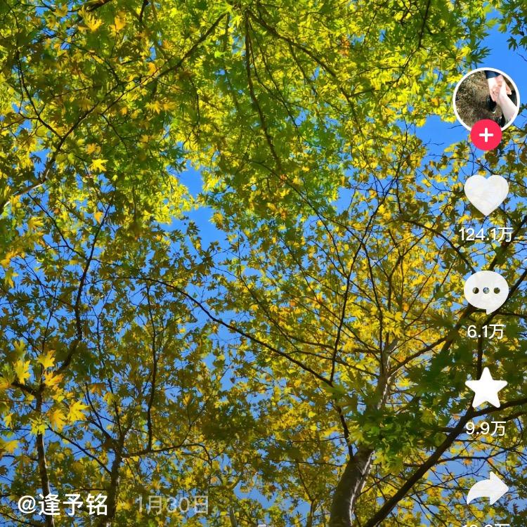 富贵吉祥平安喜乐