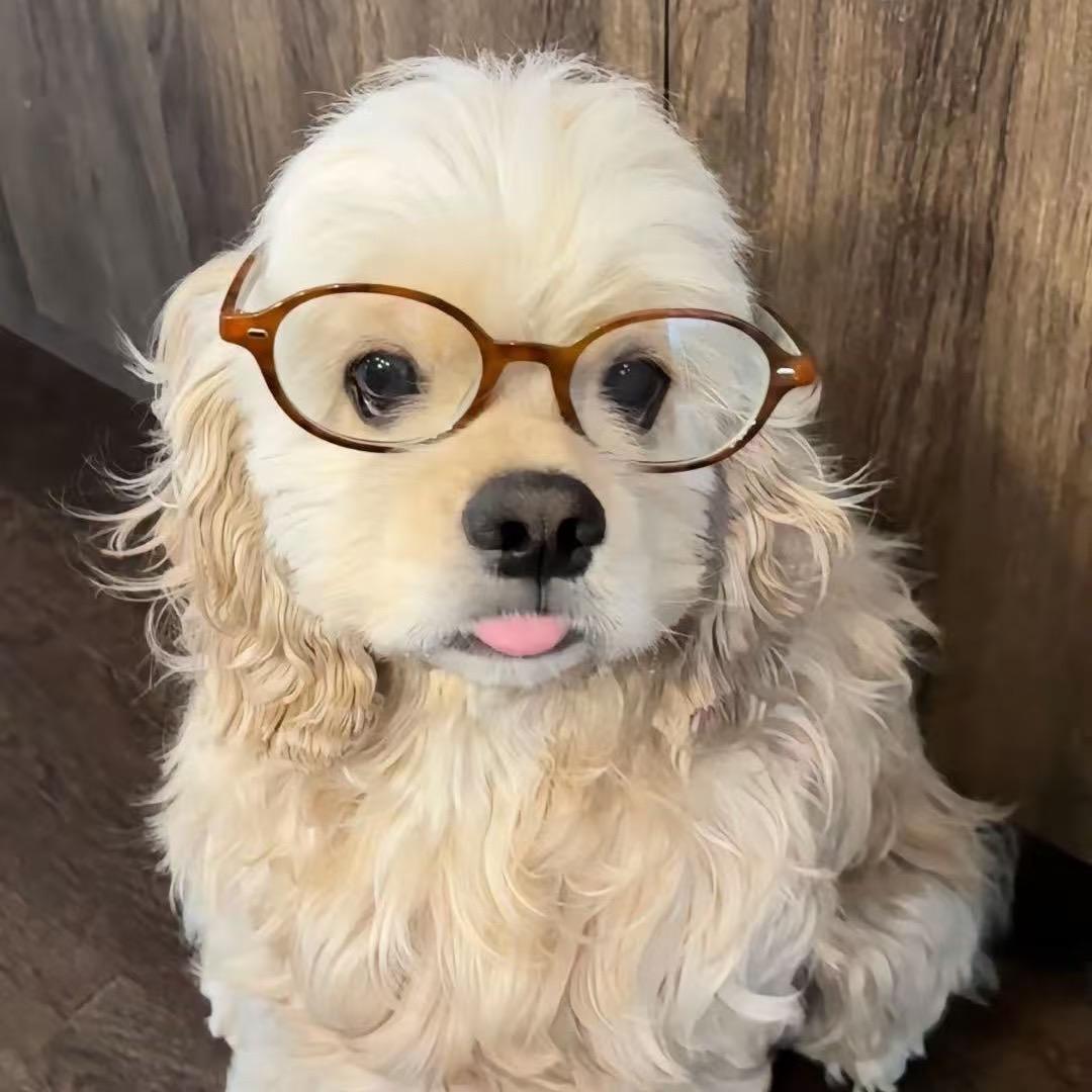 鸭头你吃不吃