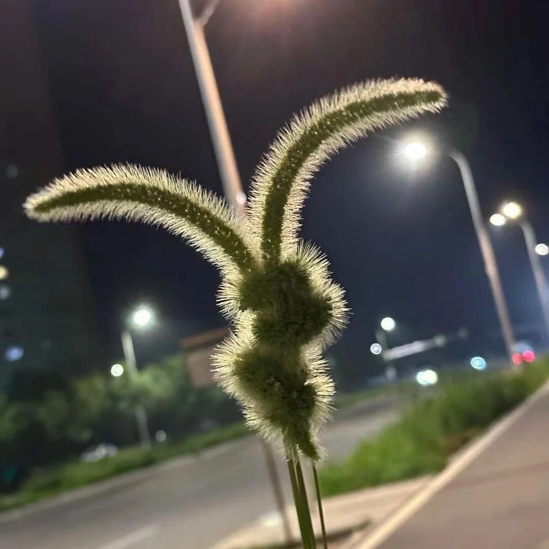 蜀道山⛰️
