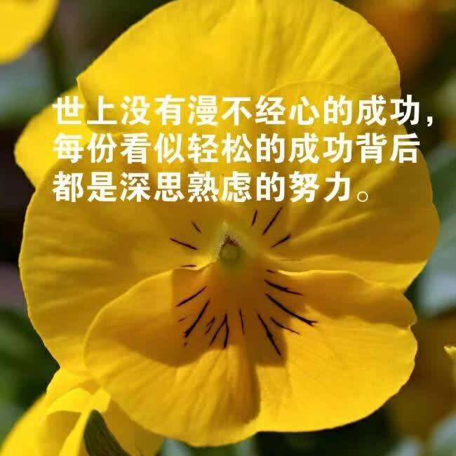 木工周姐