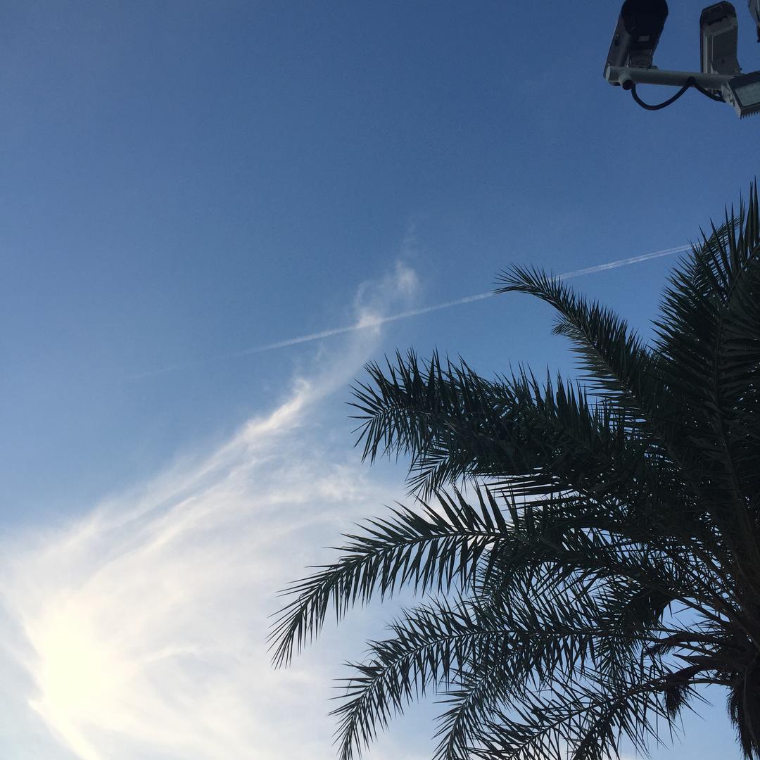零食刺客克星