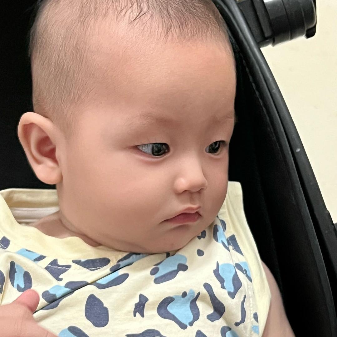 皓羽吖( 带娃日常)
