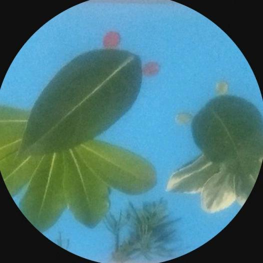 岁月静好💝🌹