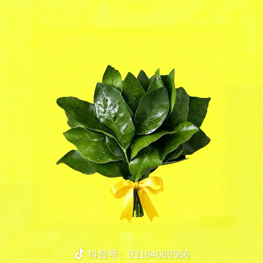好好