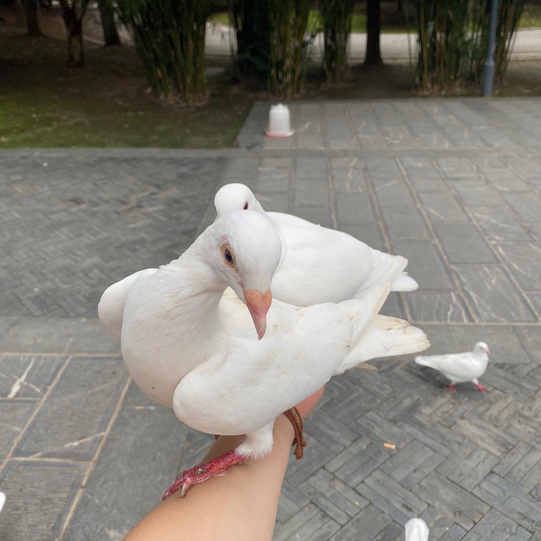 快乐星期六