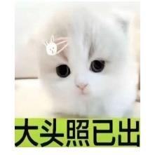 北极熊
