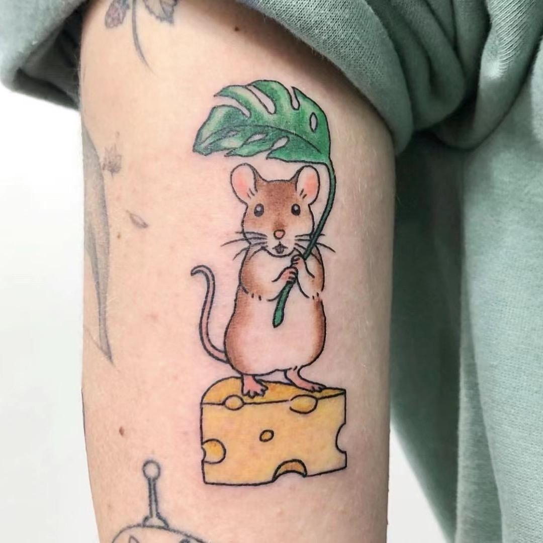麦麦甄选